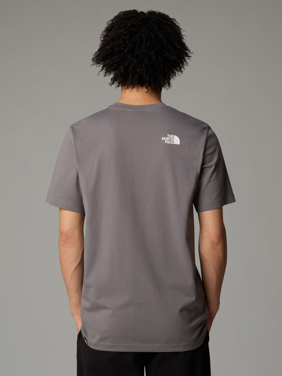 THE NORTH FACE T-shirt Regular Fit con Logo Grigio Offerta